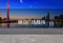 糖豆广场舞嗨