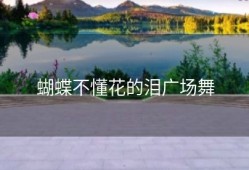 蝴蝶不懂花的泪广场舞