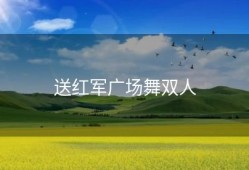 送红军广场舞双人