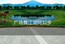 广场舞江湖阿32步