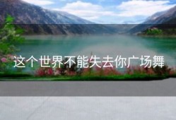 这个世界不能失去你广场舞