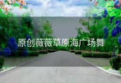 原创薇薇草原海广场舞