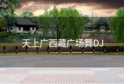 天上广西藏广场舞DJ
