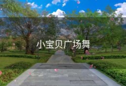 小宝贝广场舞