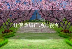 狂浪改编广场舞视频