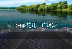 油采花儿开广场舞