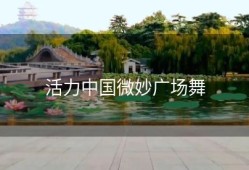 活力中国微妙广场舞