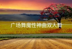 广场舞魔性神曲双人舞