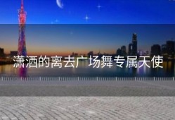 潇洒的离去广场舞专属天使