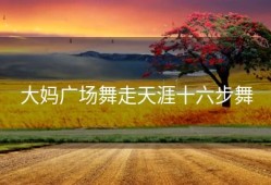 大妈广场舞走天涯十六步舞