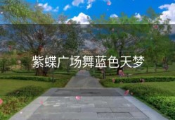 紫蝶广场舞蓝色天梦