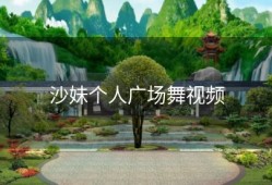 沙妹个人广场舞视频