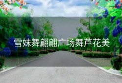 雪妹舞翩翩广场舞芦花美