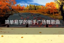 简单易学的新手广场舞歌曲