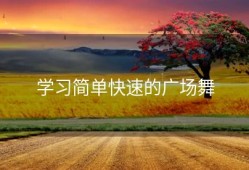 学习简单快速的广场舞