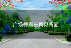 广场舞雨夜再见背面