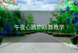 午夜心跳广场舞教学