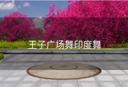 王子广场舞印度舞