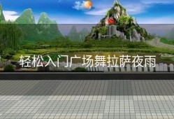 轻松入门广场舞拉萨夜雨