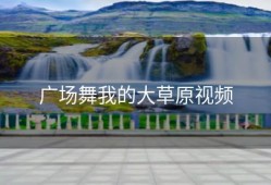 广场舞我的大草原视频