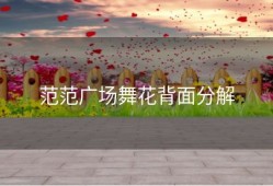 范范广场舞花背面分解
