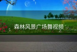 森林风景广场舞视频
