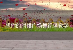 想你的时候广场舞视频教学