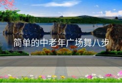 简单的中老年广场舞八步