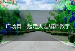 广场舞一起走天涯编舞教学