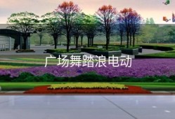 广场舞踏浪电动