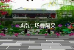 越南广场舞阿采