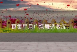 葛集星月广场舞透收库