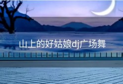 山上的好姑娘dj广场舞