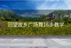 回望故乡广场舞16步教学