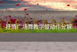 抒情广场舞教学慢动作分解
