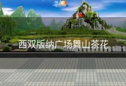 西双版纳广场舞山茶花