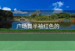 广场舞半袖红色的