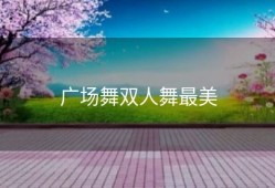 广场舞双人舞最美