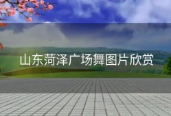 山东菏泽广场舞图片欣赏