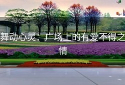舞动心灵：广场上的有爱不得之情