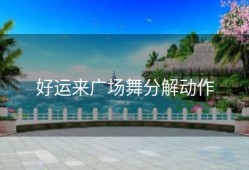 好运来广场舞分解动作