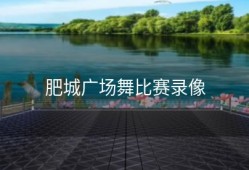 肥城广场舞比赛录像