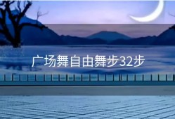 广场舞自由舞步32步