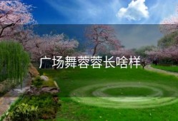 广场舞蓉蓉长啥样