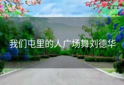 我们屯里的人广场舞刘德华