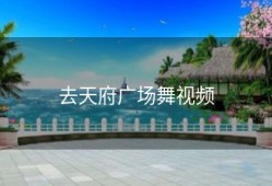 去天府广场舞视频