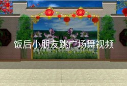 饭后小朋友跳广场舞视频