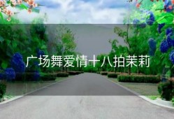 广场舞爱情十八拍茉莉