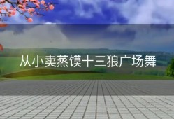 从小卖蒸馍十三狼广场舞