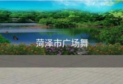 菏泽市广场舞